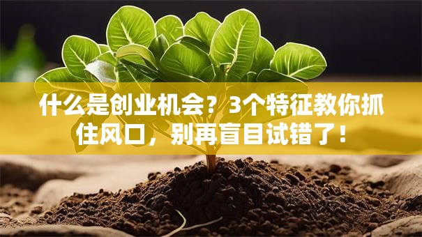 什么是创业机会？3个特征教你抓住风口，别再盲目试错了！
