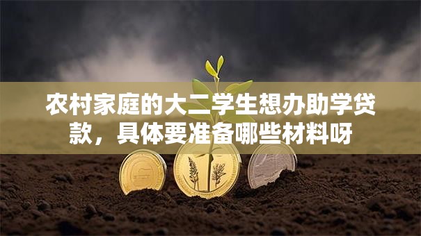 农村家庭的大二学生想办助学贷款，具体要准备哪些材料呀