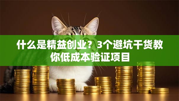 什么是精益创业？3个避坑干货教你低成本验证项目
