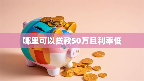 哪里可以贷款50万且利率低