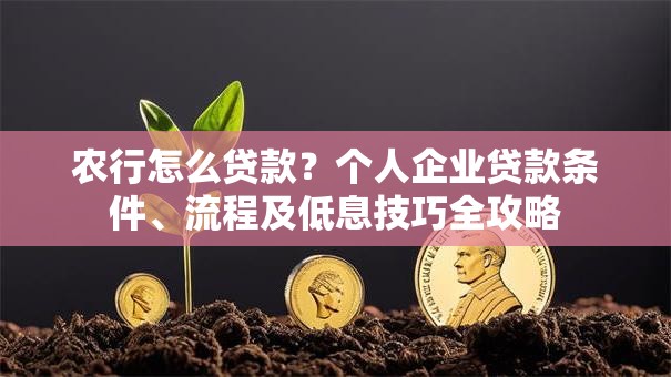 农行怎么贷款？个人企业贷款条件、流程及低息技巧全攻略