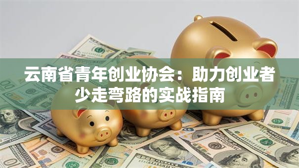 云南省青年创业协会：助力创业者少走弯路的实战指南