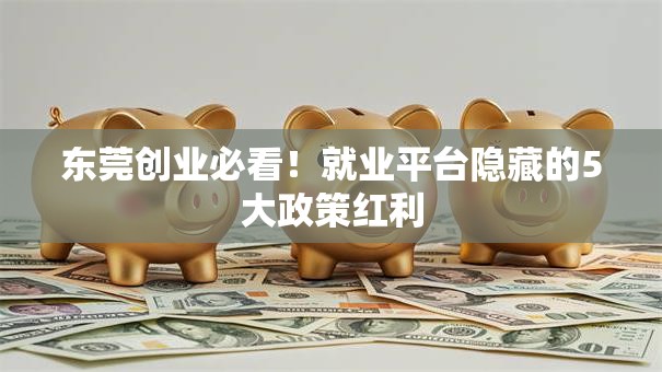 东莞创业必看！就业平台隐藏的5大政策红利
