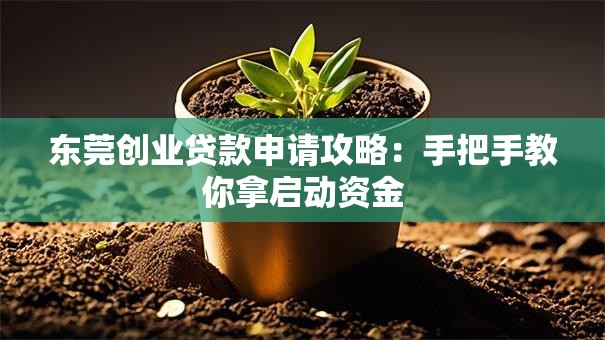 东莞创业贷款申请攻略：手把手教你拿启动资金