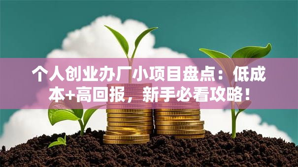 个人创业办厂小项目盘点：低成本+高回报，新手必看攻略！
