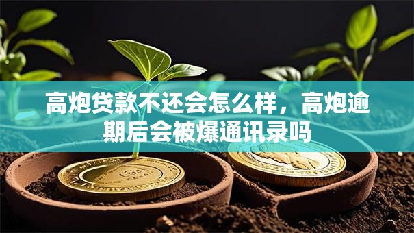 高炮贷款不还会怎么样，高炮逾期后会被爆通讯录吗