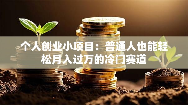 个人创业小项目：普通人也能轻松月入过万的冷门赛道
