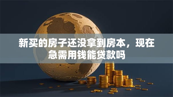 新买的房子还没拿到房本，现在急需用钱能贷款吗