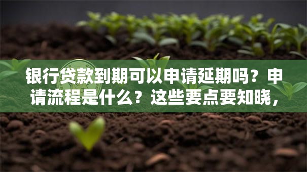 银行贷款到期可以申请延期吗？申请流程是什么？这些要点要知晓，一文讲明白