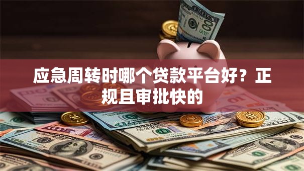 应急周转时哪个贷款平台好？正规且审批快的