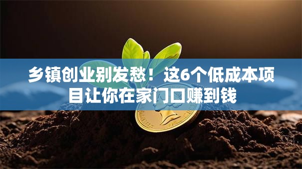 乡镇创业别发愁！这6个低成本项目让你在家门口赚到钱