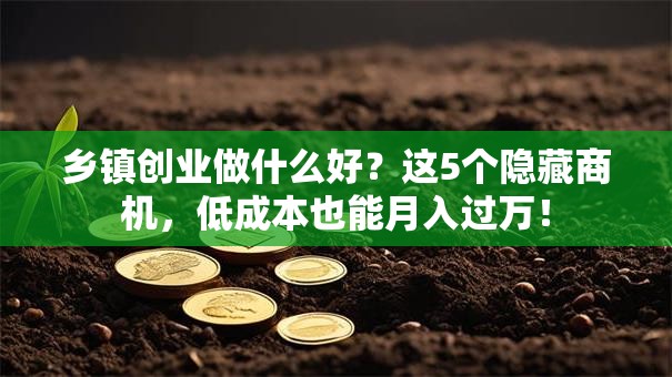 乡镇创业做什么好？这5个隐藏商机，低成本也能月入过万！