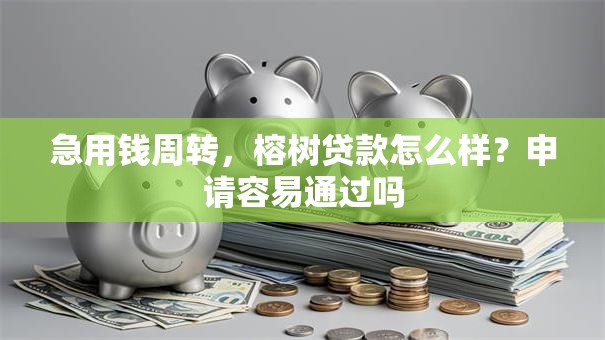 急用钱周转，榕树贷款怎么样？申请容易通过吗