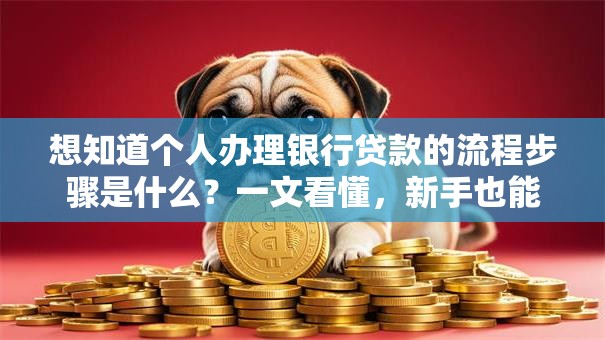 想知道个人办理银行贷款的流程步骤是什么？一文看懂，新手也能轻松搞定！