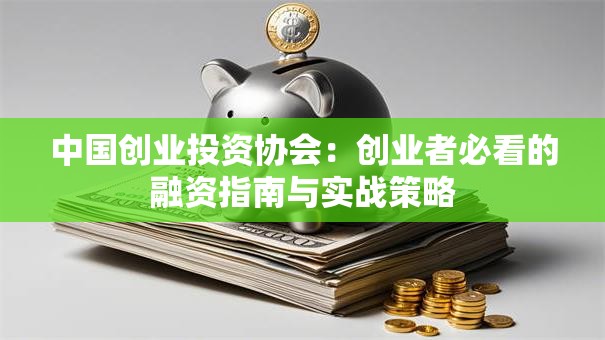 中国创业投资协会：创业者必看的融资指南与实战策略