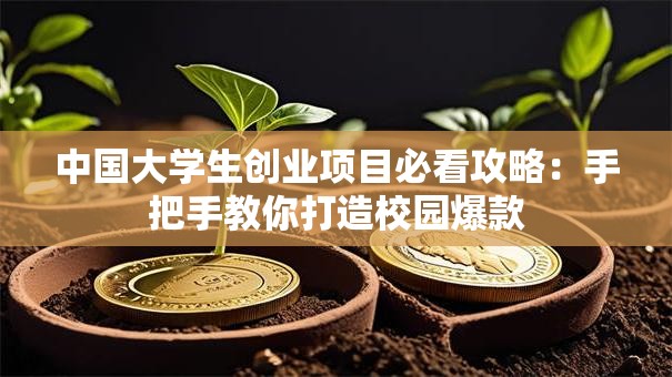 中国大学生创业项目必看攻略：手把手教你打造校园爆款