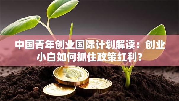 中国青年创业国际计划解读：创业小白如何抓住政策红利？