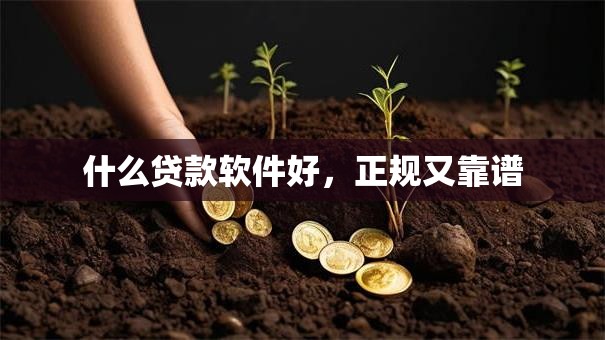 什么贷款软件好，正规又靠谱