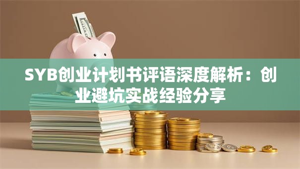 SYB创业计划书评语深度解析：创业避坑实战经验分享