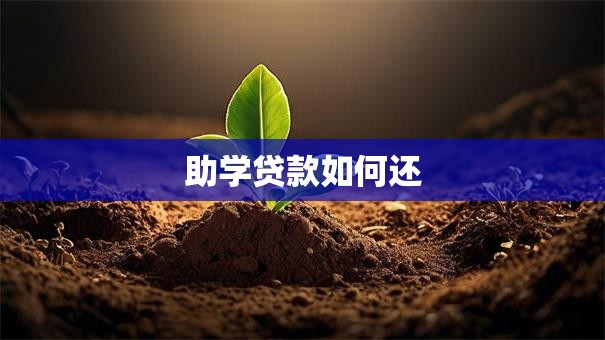助学贷款如何还