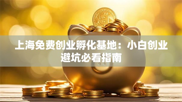 上海免费创业孵化基地:小白创业避坑必看指南 上海免费创业孵化基地:小白创业避坑必看指南