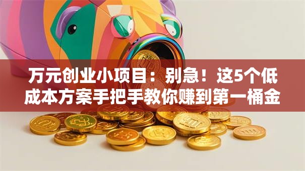 万元创业小项目:别急!这5个低成本方案手把手教你赚到第一桶金 万元创业小项目:别急!这5个低成本方案手把手教你赚到第一桶金