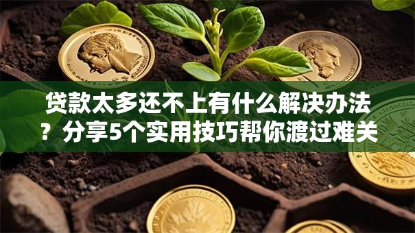 贷款太多还不上有什么解决办法?分享5个实用技巧帮你渡过难关 贷款太多还不上有什么解决办法?分享5个实用技巧帮你渡过难关
