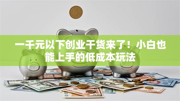 一千元以下创业干货来了！小白也能上手的低成本玩法