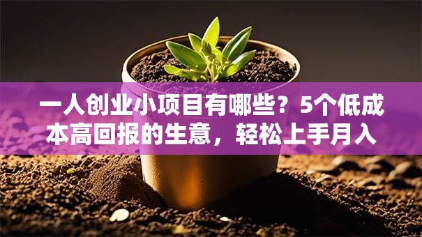 一人创业小项目有哪些？5个低成本高回报的生意，轻松上手月入过万！