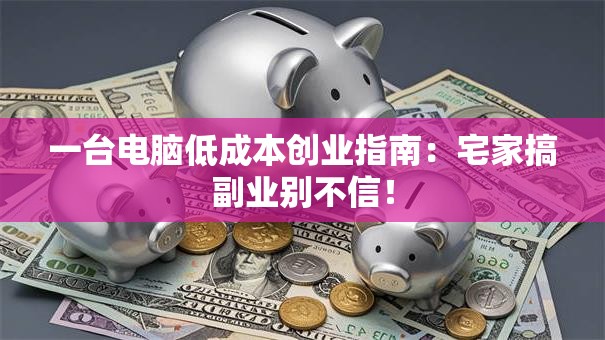 一台电脑低成本创业指南：宅家搞副业别不信！