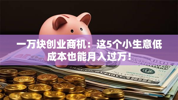 一万块创业商机：这5个小生意低成本也能月入过万！