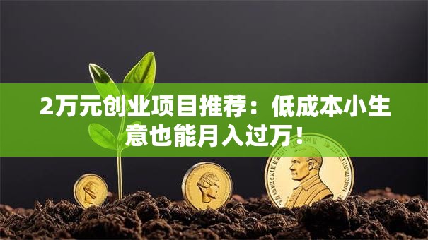 2万元创业项目推荐：低成本小生意也能月入过万！