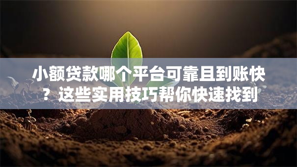 小额贷款哪个平台可靠且到账快？这些实用技巧帮你快速找到