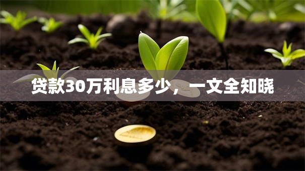 贷款30万利息多少，一文全知晓