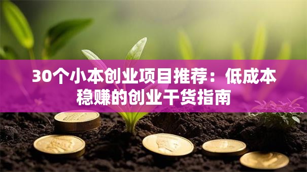 30个小本创业项目推荐：低成本稳赚的创业干货指南