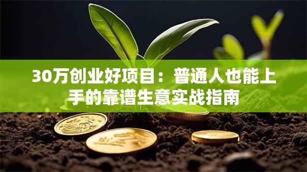 30万创业好项目：普通人也能上手的靠谱生意实战指南
