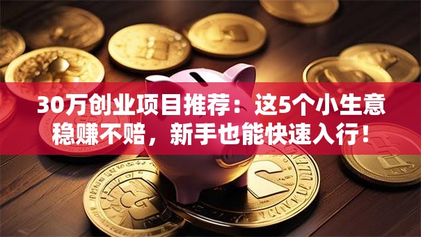 30万创业项目推荐：这5个小生意稳赚不赔，新手也能快速入行！