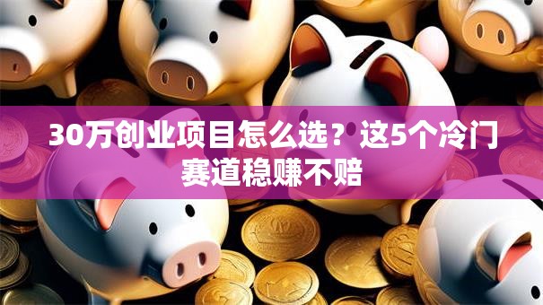 30万创业项目怎么选？这5个冷门赛道稳赚不赔