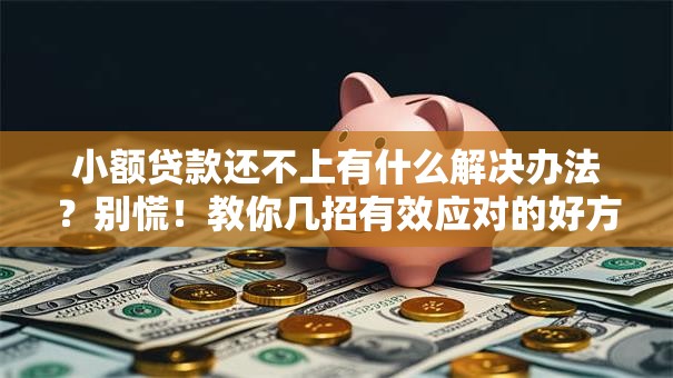 小额贷款还不上有什么解决办法？别慌！教你几招有效应对的好方法