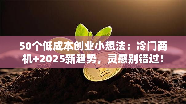 50个低成本创业小想法：冷门商机+2025新趋势，灵感别错过！