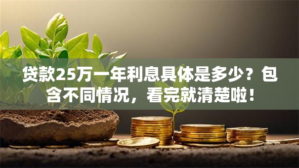 贷款25万一年利息具体是多少？包含不同情况，看完就清楚啦！