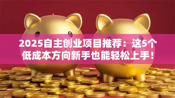 2025自主创业项目推荐：这5个低成本方向新手也能轻松上手！