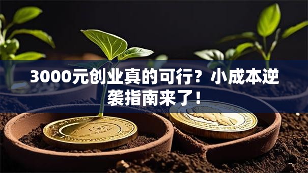3000元创业真的可行？小成本逆袭指南来了！