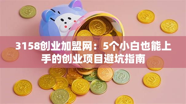 3158创业加盟网：5个小白也能上手的创业项目避坑指南
