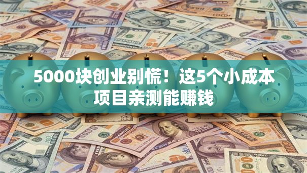 5000块创业别慌！这5个小成本项目亲测能赚钱