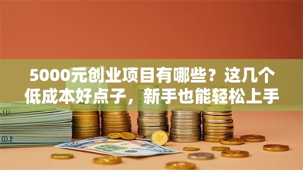 5000元创业项目有哪些？这几个低成本好点子，新手也能轻松上手