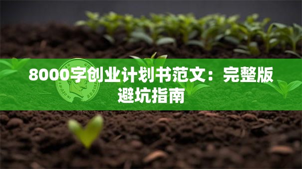8000字创业计划书范文：完整版避坑指南