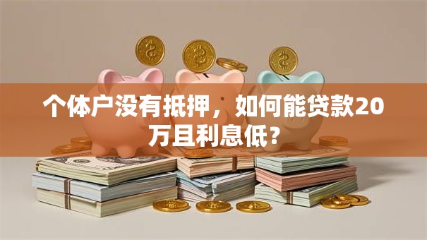个体户没有抵押，如何能贷款20万且利息低？