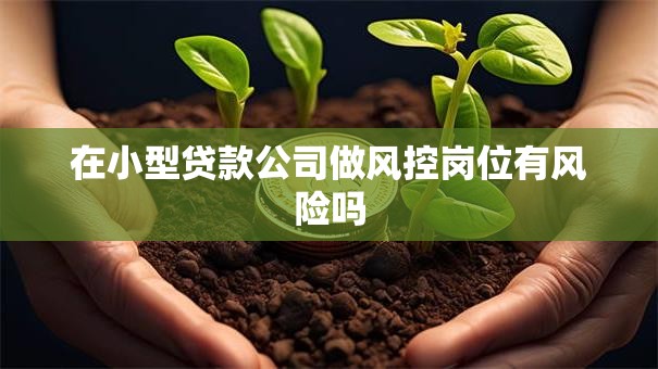 在小型贷款公司做风控岗位有风险吗