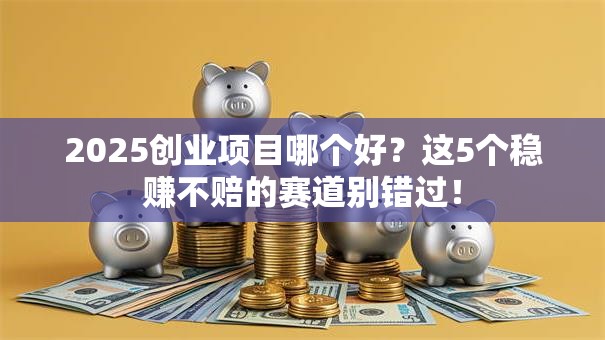 2025创业项目哪个好？这5个稳赚不赔的赛道别错过！